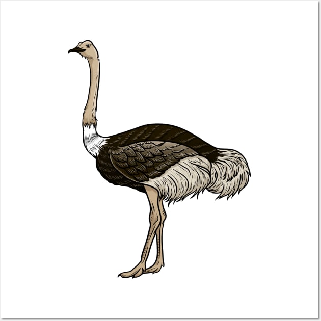 Ostrich Wall Art by Sticker Steve